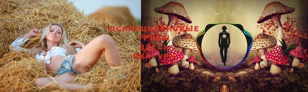 прущая мука Медногорск