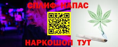 mdpv Заводоуковск