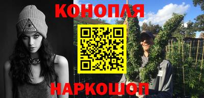 mdpv Заводоуковск