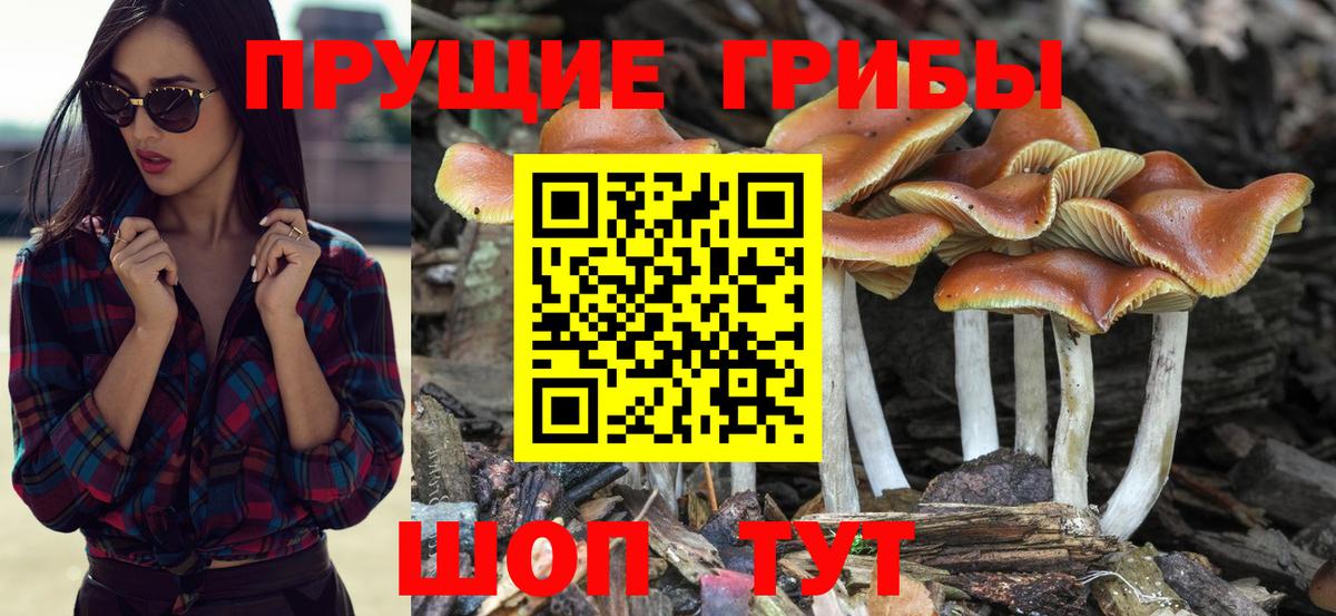 Первоуральск  Галлюциногенные грибы MAGIC MUSHROOMS  где купить   Вход с VPN  Галлюциногенные грибы мухоморы 